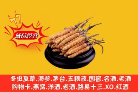 惠州龙门县求购回收虫草多少钱每克